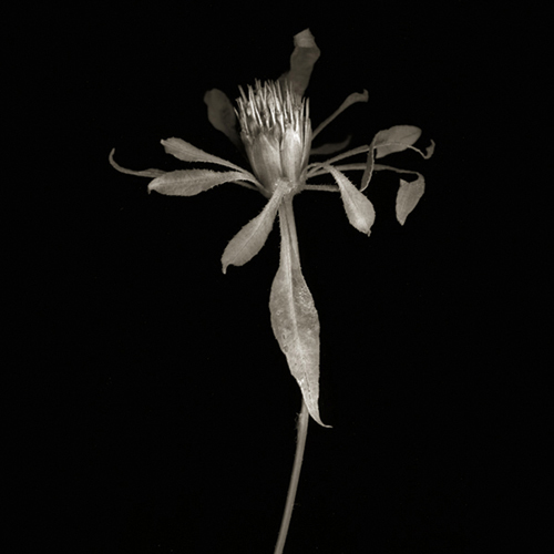 05a