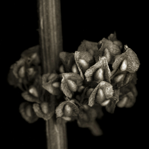 Untitled-19a