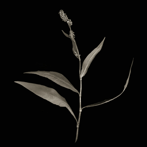 _359-2a