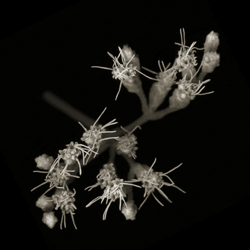 _410a