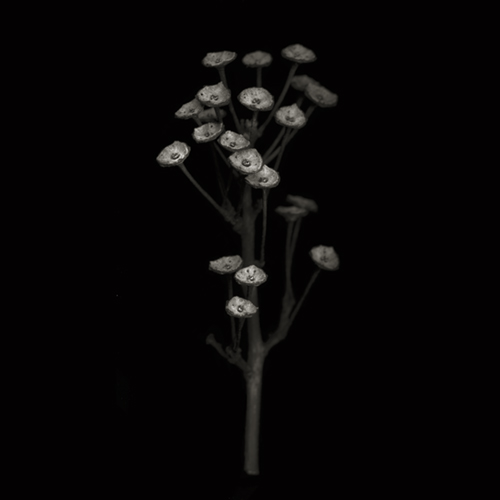 _396a